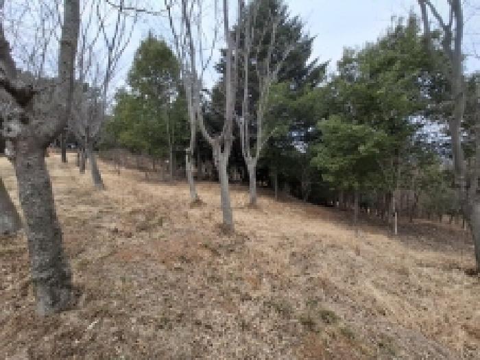 경상남도 사천시 곤명면 삼정리 산29-1 임야 경매 사진 72