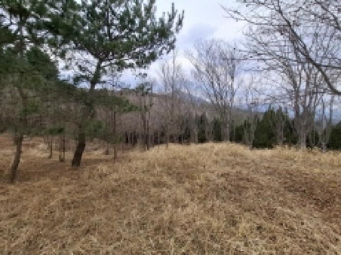경상남도 사천시 곤명면 삼정리 산29-1 임야 경매 사진 74