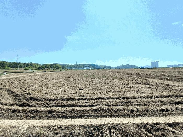 경상남도 사천시 향촌동 127-17 답 경매 사진 3