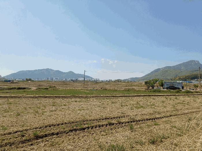경상남도 사천시 향촌동 127-17 답 경매 사진 4
