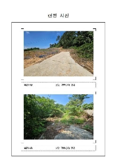 전라남도 신안군 압해읍 가룡리 산143-1 임야 경매 사진 6