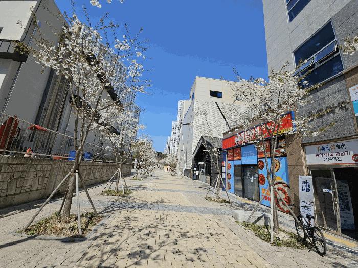 부산광역시 기장군 일광읍 삼성리 806-1 지음프라자 1층112호 근린상가 경매 사진 1