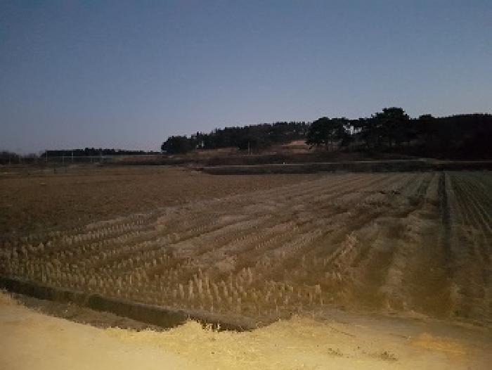 경상북도 의성군 단북면 성암리 702 답 경매 사진 17