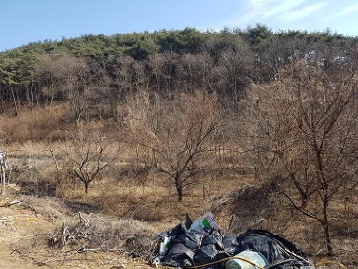 경상북도 의성군 옥산면 실업리 519-1 과수원 경매 사진 10