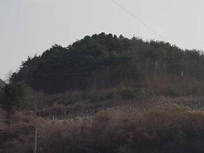 경상북도 의성군 옥산면 오류리 283 전 경매 사진 5