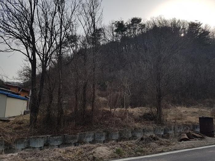 경상북도 의성군 옥산면 오류리 666 전 경매 사진 7