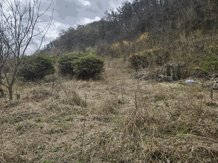 경상북도 의성군 금성면 청로리 465 전 경매 사진 2