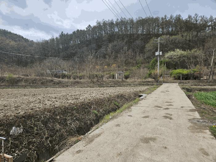 경상북도 의성군 금성면 청로리 465 전 경매 사진 6
