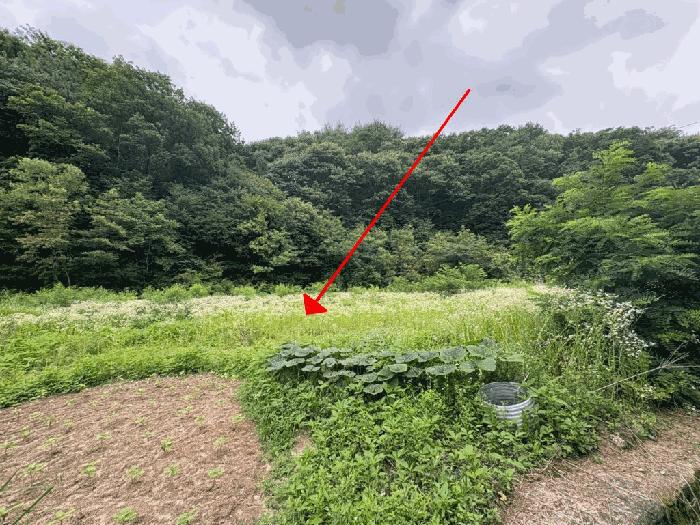 경기 포천시 대지