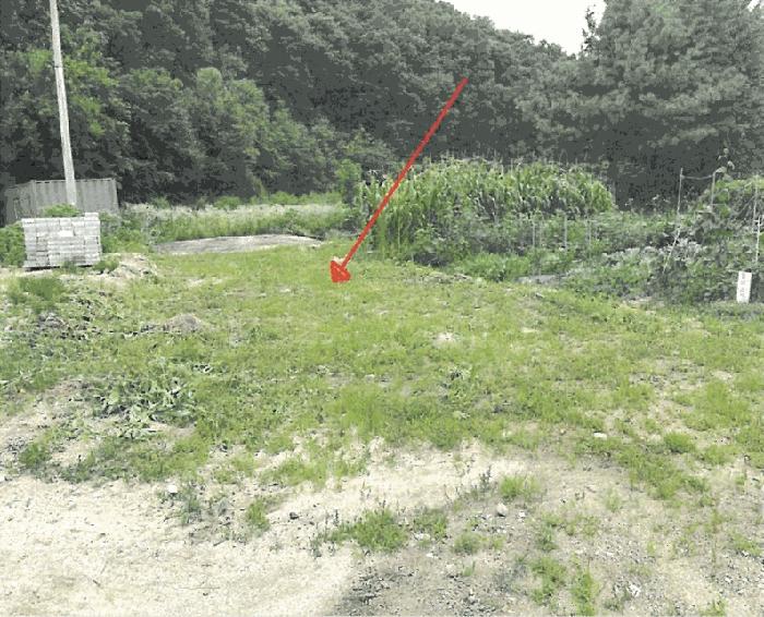 경기도 포천시 이동면 장암리 178 대지 경매 사진 3