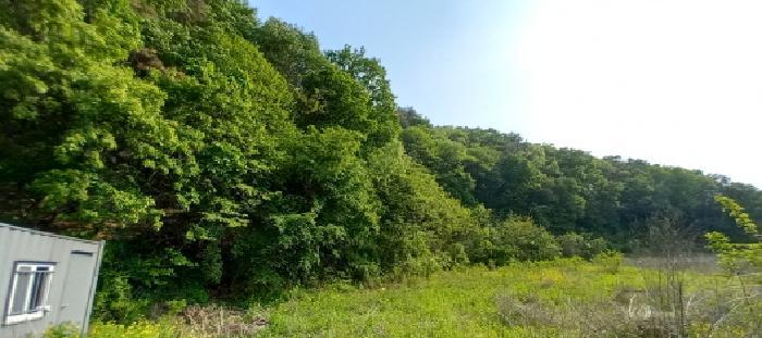 경기도 포천시 이동면 장암리 178 대지 경매 사진 9