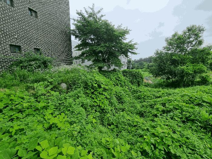 충청북도 음성군 금왕읍 내송리 70-88 임야 경매 사진 1