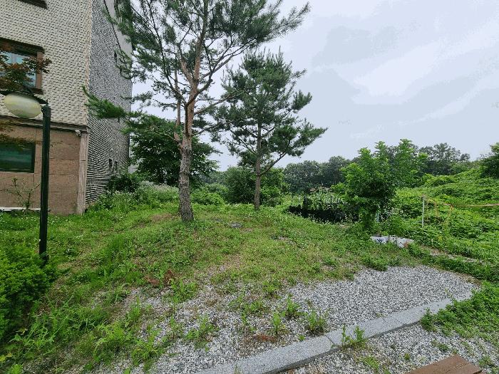 충청북도 음성군 금왕읍 내송리 70-88 임야 경매 사진 3