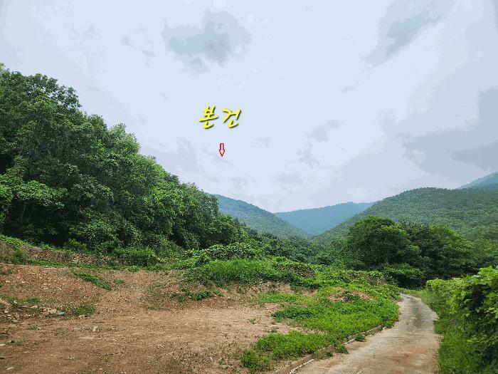 경상남도 남해군 남면 당항리 산25 임야 경매 사진 1