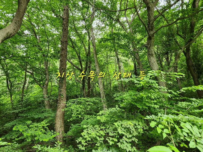 경상남도 남해군 남면 당항리 산25 임야 경매 사진 2