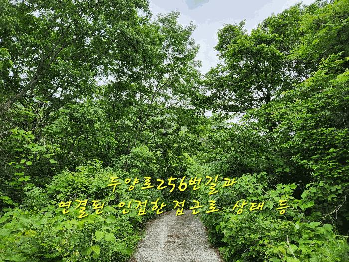 경상남도 남해군 남면 당항리 산25 임야 경매 사진 6