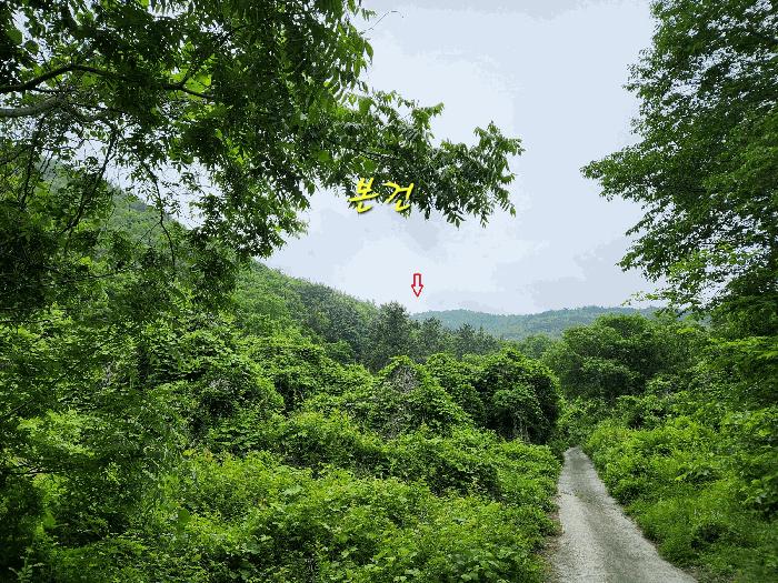 경상남도 남해군 남면 당항리 산25 임야 경매 사진 7