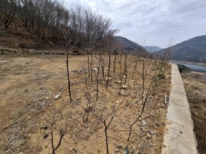 경상남도 사천시 와룡동 530-8 주택 경매 사진 41