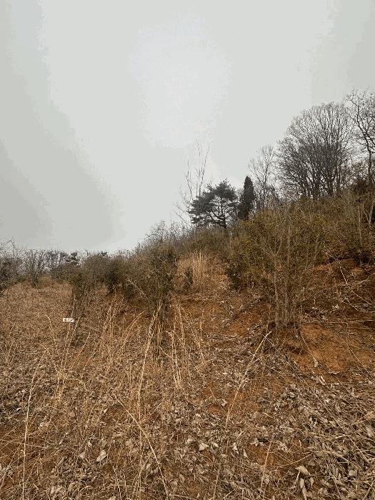 경상남도 사천시 와룡동 530-8 주택 경매 사진 6