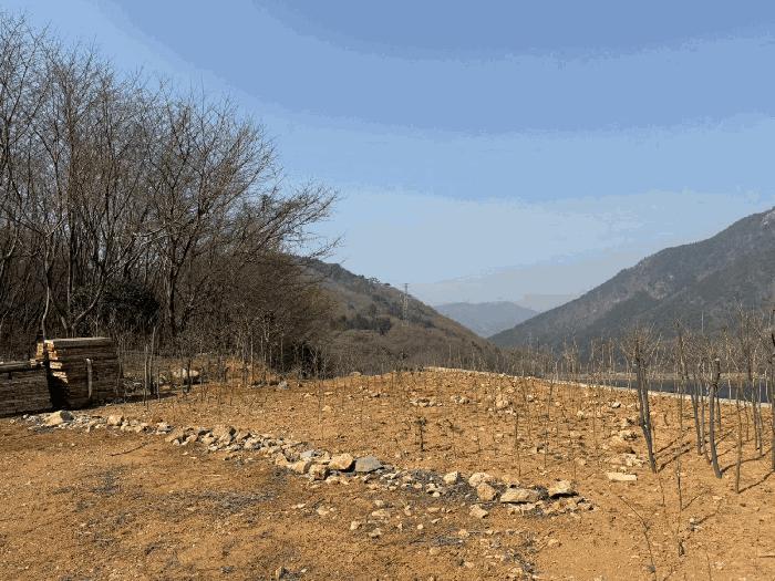 경상남도 사천시 와룡동 530-8 주택 경매 사진 7