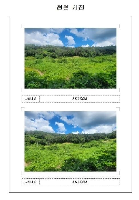 전라남도 무안군 삼향읍 지산리 181 답 경매 사진 3