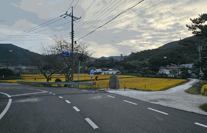 경상남도 거제시 둔덕면 시목리 643 답 경매 사진 1