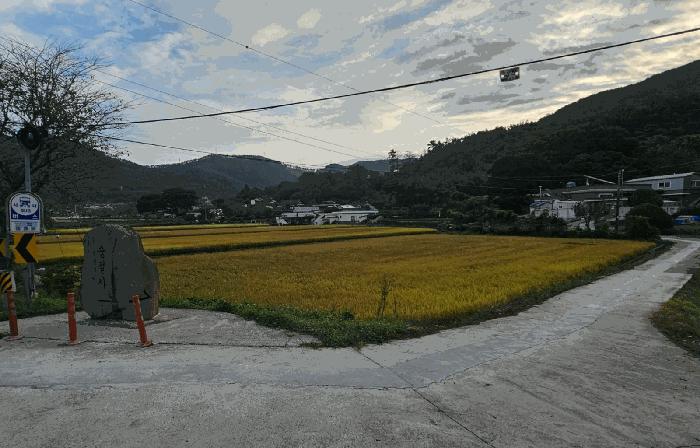 경상남도 거제시 둔덕면 시목리 643 답 경매 사진 3