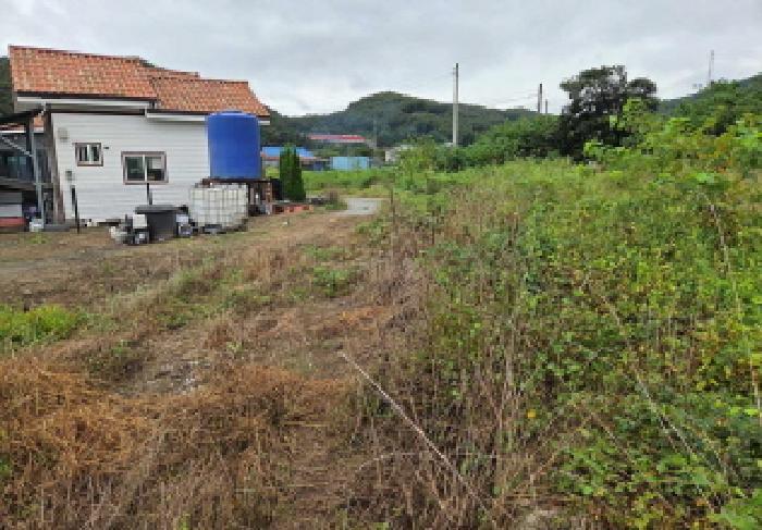 충청남도 아산시 염치읍 강청리 263 대지 경매 사진 12