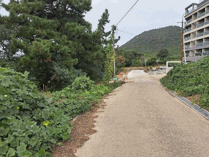 전북특별자치도 부안군 변산면 격포리 651-53 임야 경매 사진 1