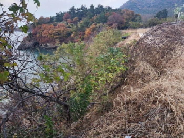 전북특별자치도 부안군 변산면 격포리 651-53 임야 경매 사진 12