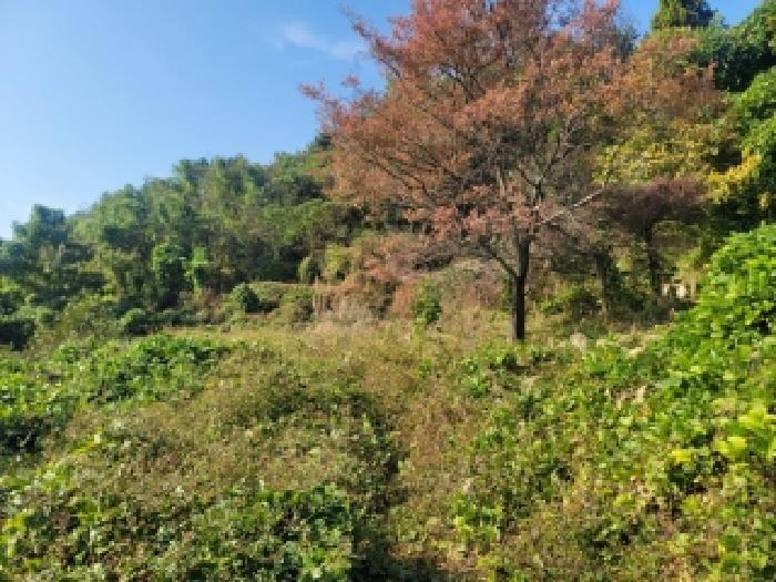 경상남도 통영시 광도면 덕포리 478 전 경매 사진 6