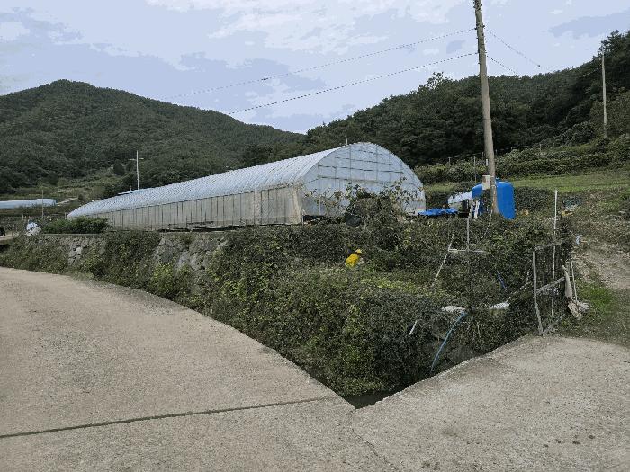 경상남도 통영시 도산면 수월리 498-2 답 경매 사진 1
