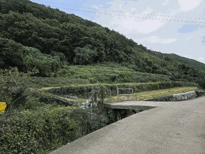 경상남도 통영시 도산면 수월리 498-2 답 경매 사진 2