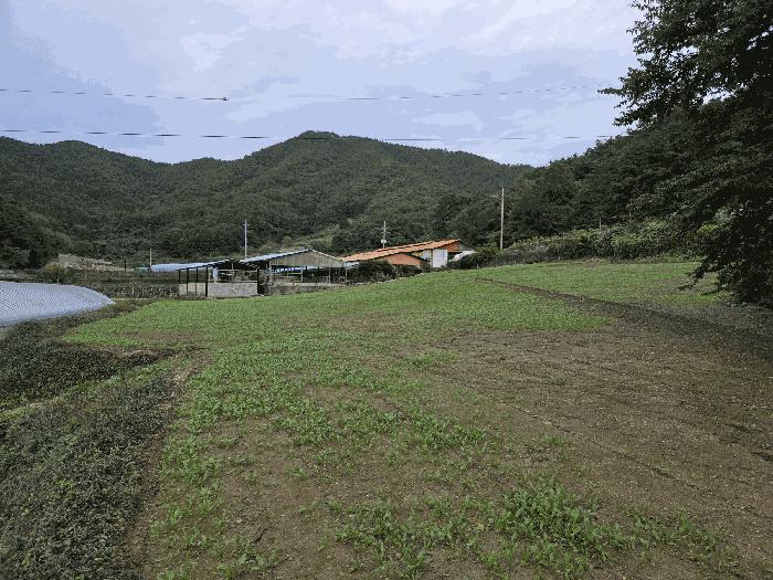 경상남도 통영시 도산면 수월리 498-2 답 경매 사진 4