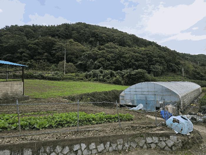 경상남도 통영시 도산면 수월리 498-2 답 경매 사진 5