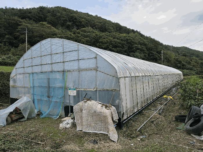 경상남도 통영시 도산면 수월리 498-2 답 경매 사진 6