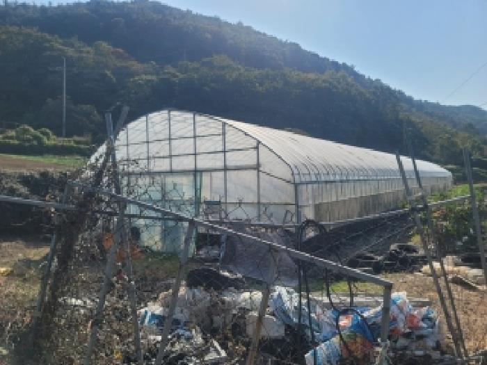 경상남도 통영시 도산면 수월리 498-2 답 경매 사진 7