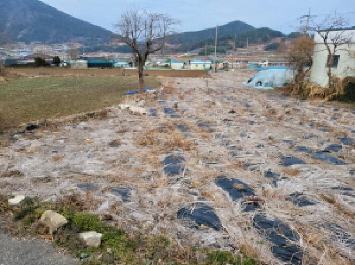 전라남도 여수시 돌산읍 둔전리 산150-4 임야 경매 사진 27