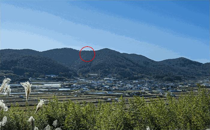 전라남도 여수시 돌산읍 둔전리 산150-4 임야 경매 사진 7