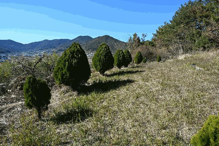 전라남도 여수시 돌산읍 둔전리 산150-4 임야 경매 사진 8