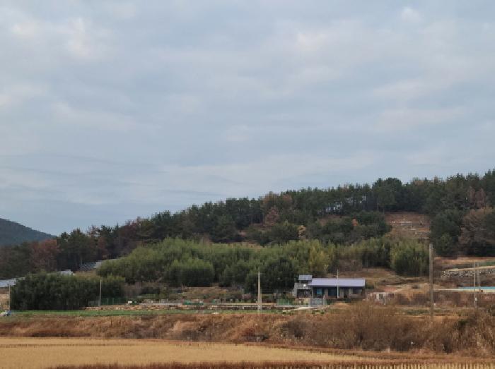전라남도 여수시 돌산읍 둔전리 672-1 전 경매 사진 13