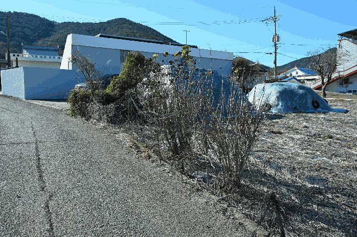 전라남도 여수시 돌산읍 둔전리 672-1 전 경매 사진 5