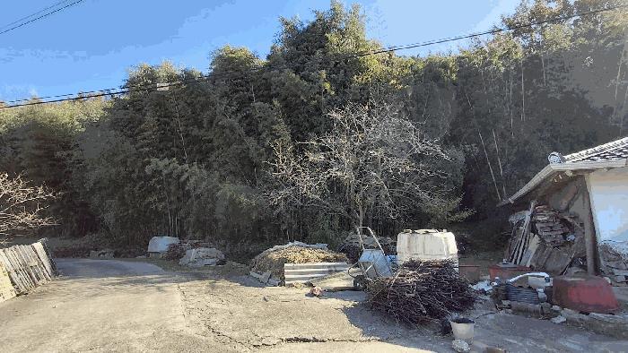 전라남도 보성군 조성면 은곡리 815 전 경매 사진 3