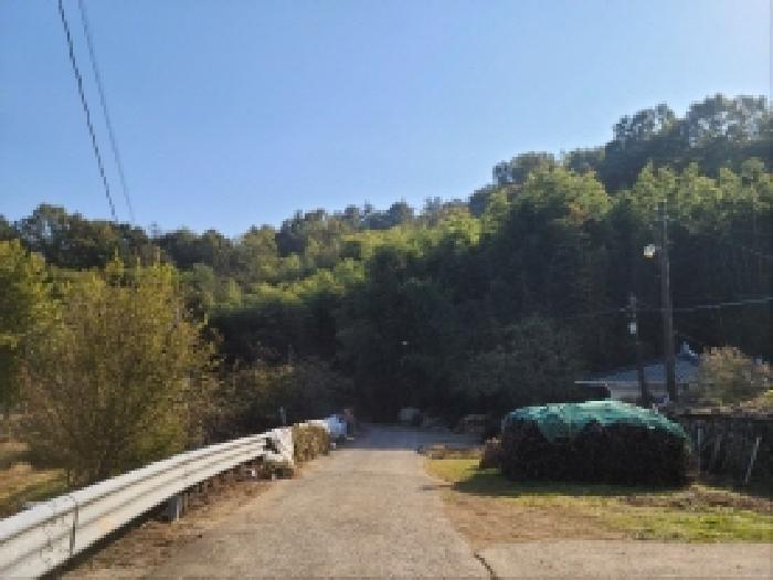 전라남도 보성군 조성면 은곡리 815 전 경매 사진 5