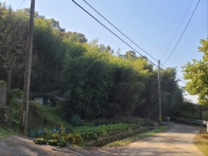 전라남도 보성군 조성면 은곡리 815 전 경매 사진 8