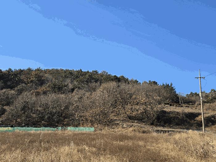 전라남도 여수시 율촌면 봉전리 827-5 임야 경매 사진 1