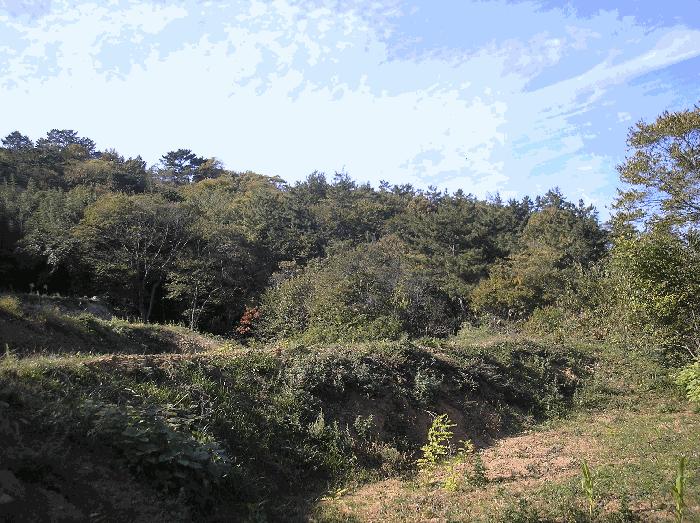 전라남도 고흥군 두원면 운대리 1088-2 전 경매 사진 3