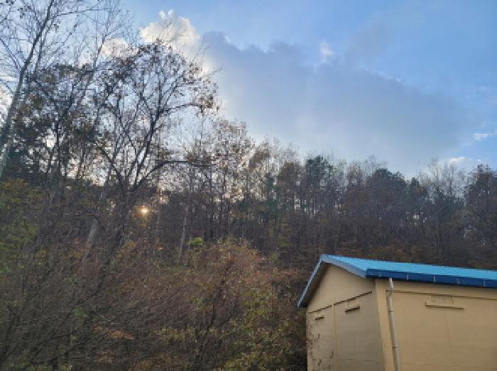 전라남도 고흥군 두원면 운대리 1088-2 전 경매 사진 8