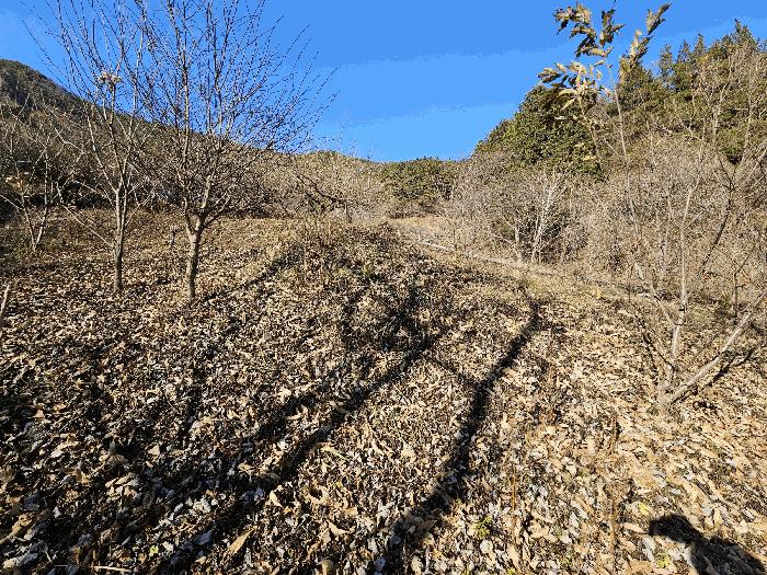 전라남도 광양시 옥룡면 추산리 1437 답 경매 사진 2