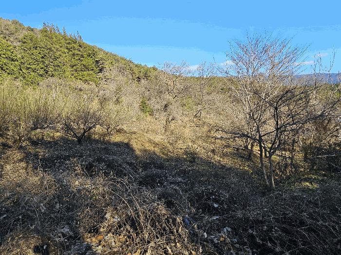 전라남도 광양시 옥룡면 추산리 1437 답 경매 사진 6